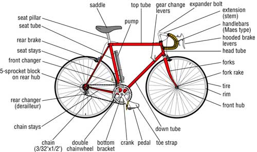 proper bike size