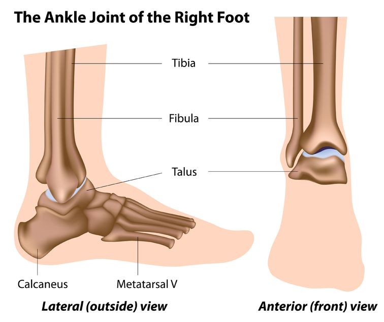 Reduce Injuries Through Essential Ankle and Foot Exercises