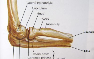 RADIAL HEAD FRACTURES