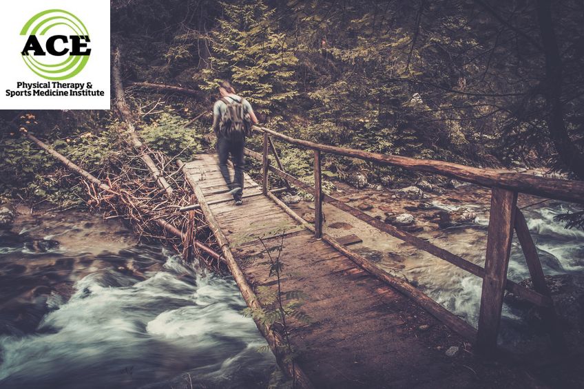 37682333 - hiker with hiking poles walking over wooden bridge in a forest